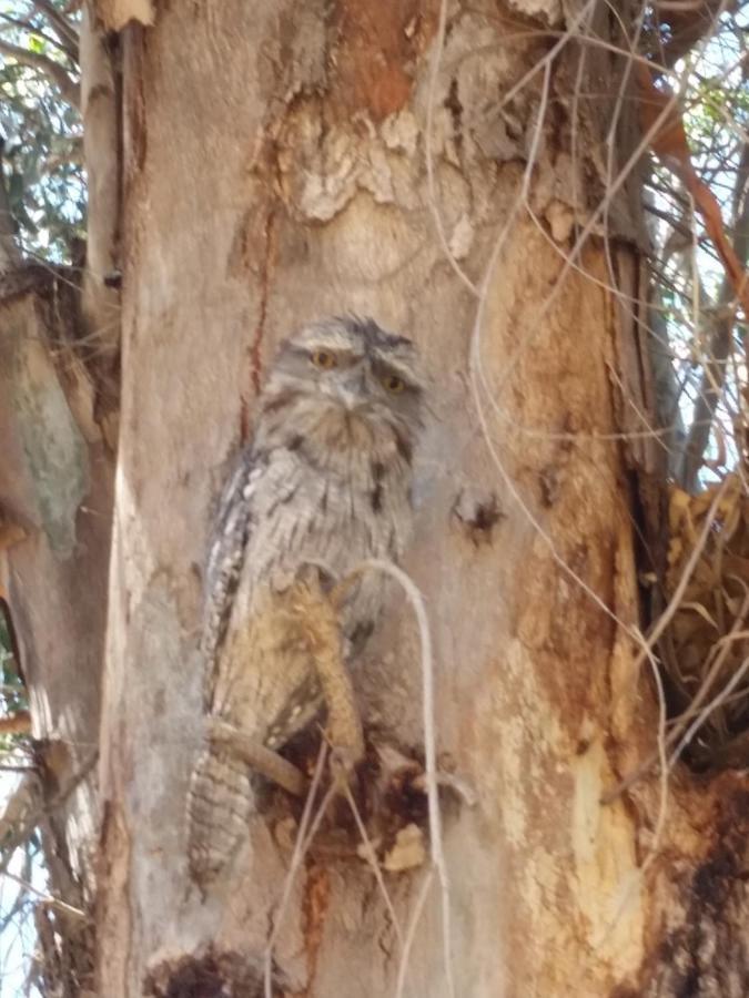 Holiday home Family Retreat Kalbarri